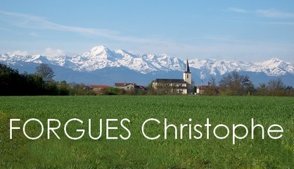 Forgues Christophe